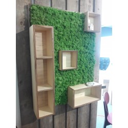 Console Green at Home